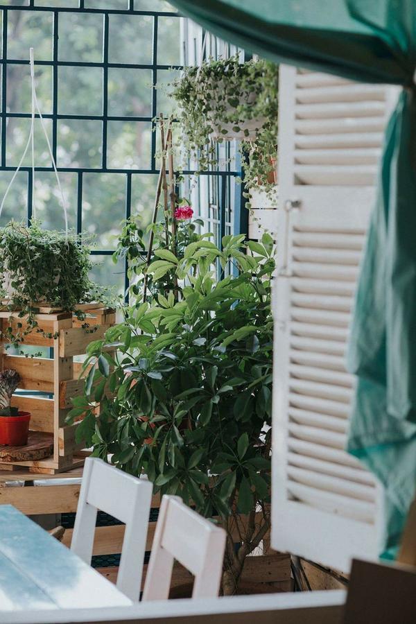 Ostello Momento Boutique House 1 Hanoi Esterno foto